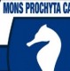 Mons Prochyta Calcio